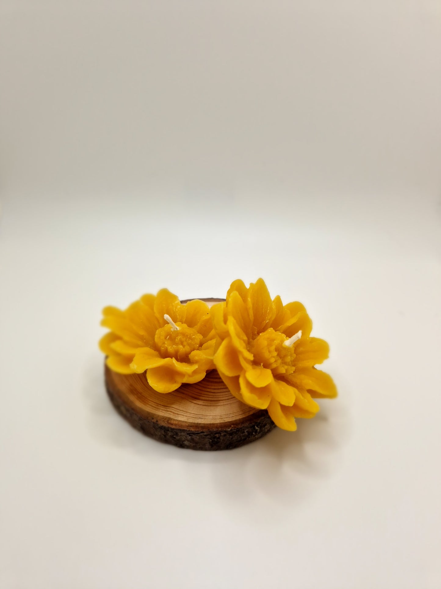 Bougie marguerite flottante